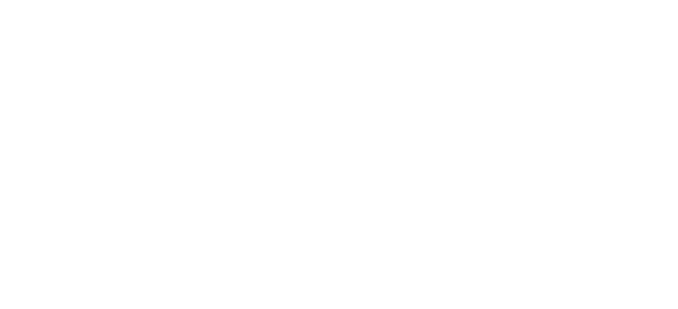 Home Instead Logo